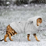 Warm Cat Clothes for Winter