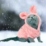 Warm Cat Clothes for Winter