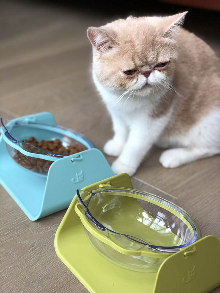 15 Degree Adjustable Pet Feeder Bowl