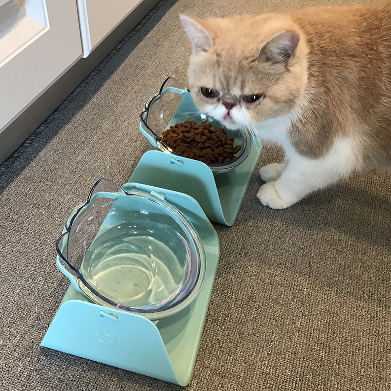 15 Degree Adjustable Pet Feeder Bowl