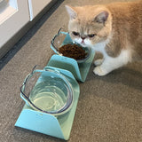 15 Degree Adjustable Pet Feeder Bowl