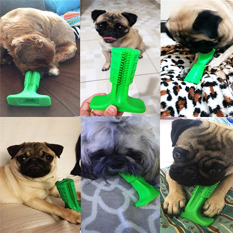 Soft Toothbrush Bite Corrector for Dogs